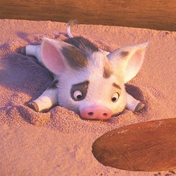 Disney Moana- Sweetest Pig PUA - Picture 14 of 16